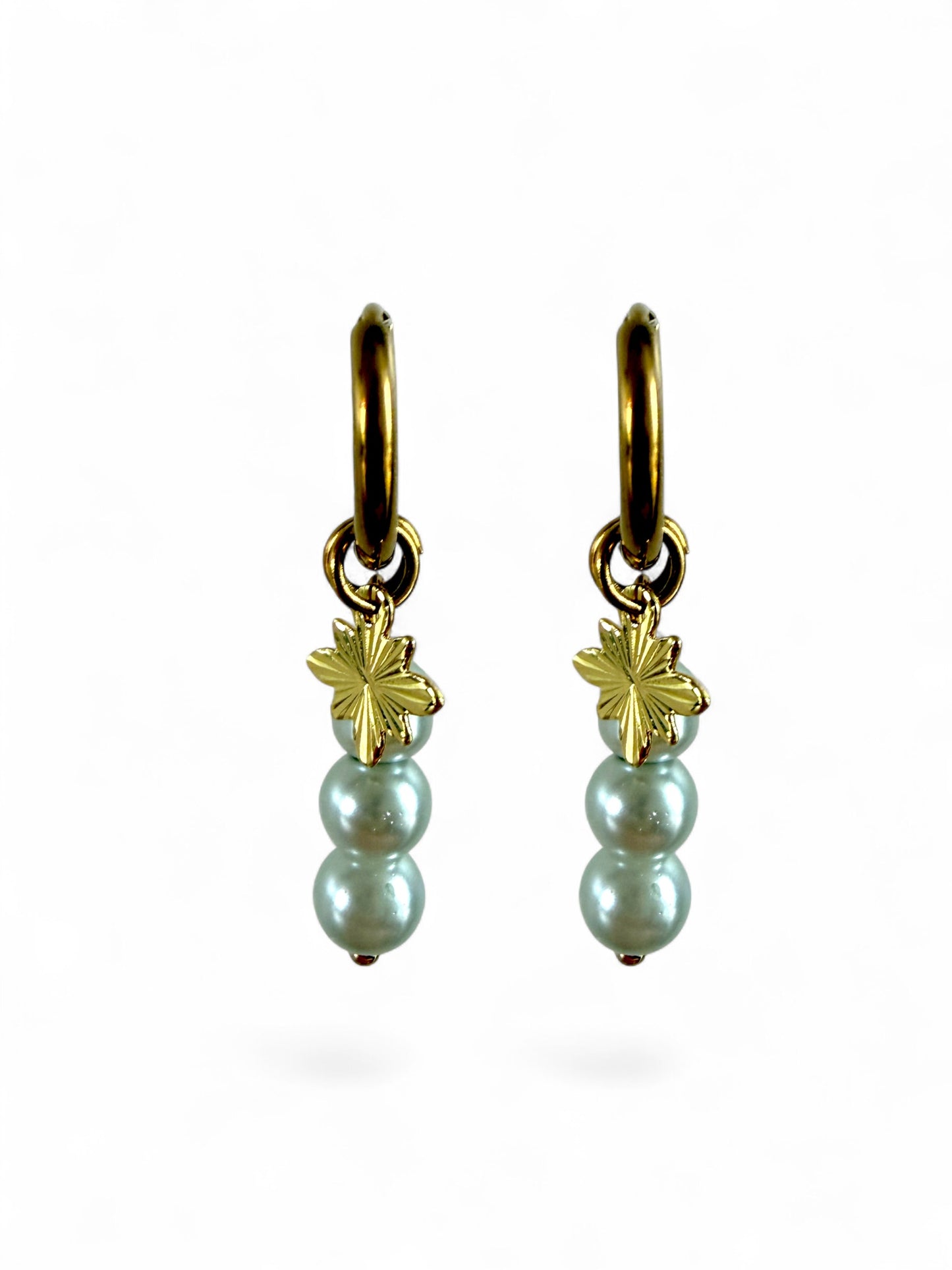 Misty Hoops