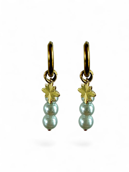Misty Hoops