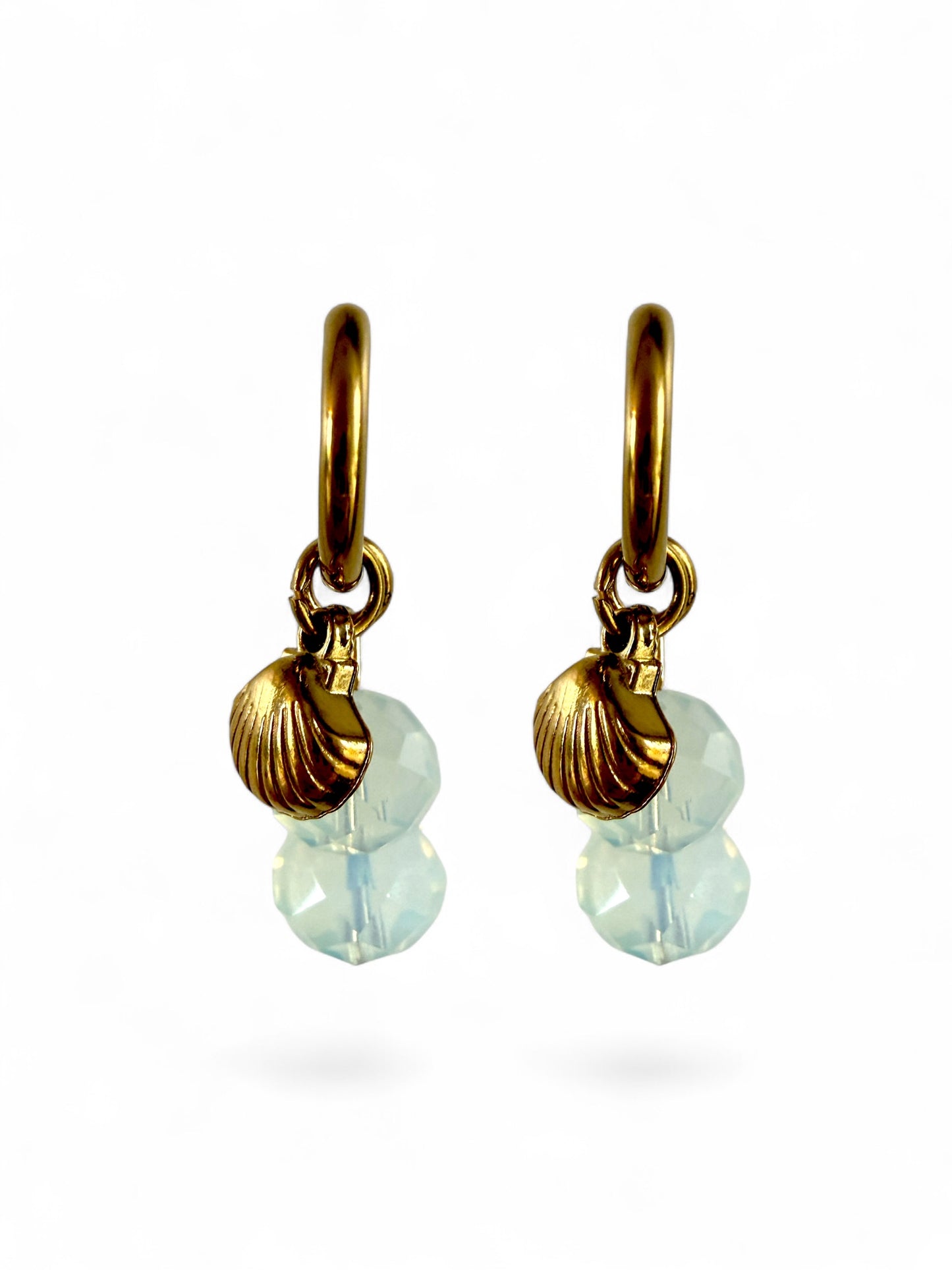 Shell Hoops